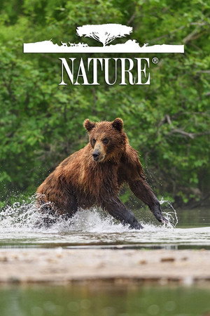Nature poszter