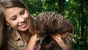 Ausztrál állatkert - Steve Irwin öröksége 1. évad Ep.4 Robert, a kobrák királya