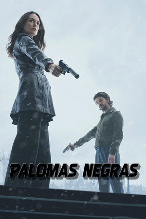 Fekete galamb poszter