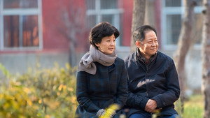 一树桃花开 kép