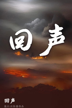回声 poszter