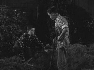 The Hardy Boys 1. évad Ep.7 7. epizód
