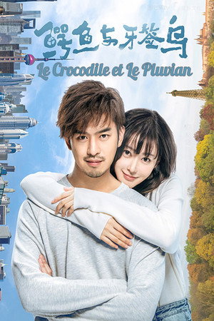 鳄鱼与牙签鸟 1. évad (2019-11-18) poszter