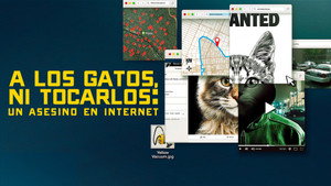 Ne szórakozz a macskákkal: Vadászat az internetes gyilkosra kép