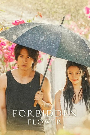 夏花 poszter
