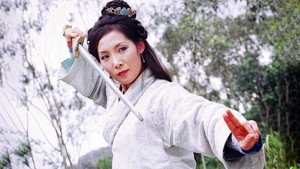 碧血劍 kép