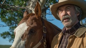 Heartland 9. évad Ep.4 4. epizód