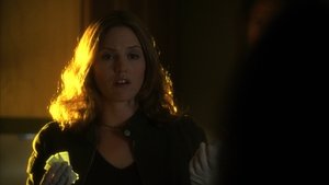 CSI: A helyszínelők 3. évad Ep.21 Mindörökké