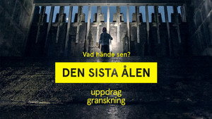 Uppdrag granskning sommar 2022. évad Ep.5 5. epizód