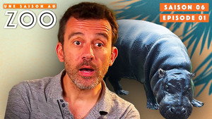 Une saison au zoo 6. évad Ep.1 1. epizód