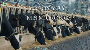 Planeta Microbio 1. évad Ep.12 12. epizód