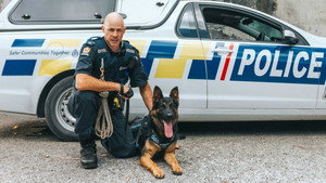 Dog Squad 12. évad Ep.6 6. epizód