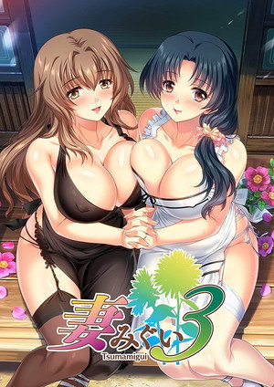 妻みぐい3 THE ANIMATION poszter