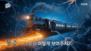 취미는 과학 1. évad Ep.54 54. epizód