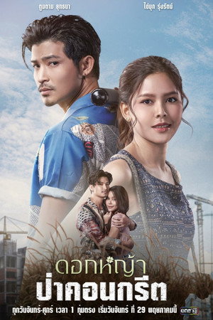 ดอกหญ้าป่าคอนกรีต poszter
