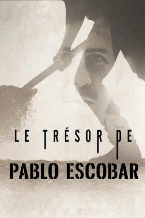 Escobar milliói poszter