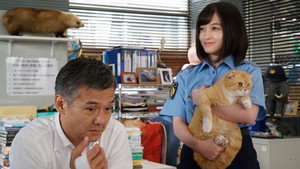 警視庁いきもの係 1. évad Ep.5 5. epizód