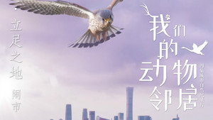 我们的动物邻居 1. évad Ep.1 1. epizód