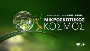 Apró világ kép