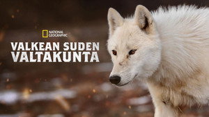 A fehér farkas birodalma kép