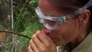 I'm a Celebrity...Get Me Out of Here! 14. évad Ep.18 18. epizód