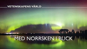 Vetenskapens värld 47. évad Ep.10 10. epizód