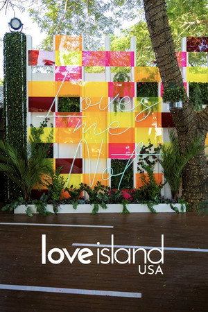 Love Island USA poszter