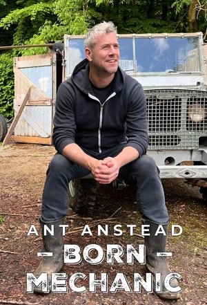 Ant Anstead - született szerelő