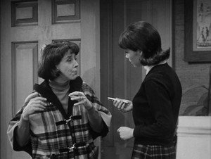 The Dick Van Dyke Show 5. évad Ep.30 30. epizód