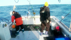 Wicked Tuna: Outer Banks 2. évad Ep.9 9. epizód