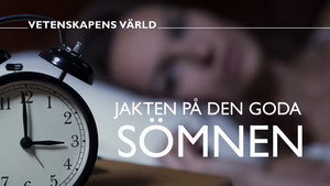 Vetenskapens värld 49. évad Ep.34 34. epizód