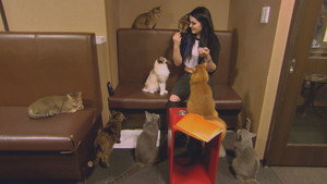 Total Divas 5. évad Ep.1 1. epizód