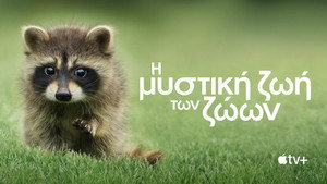 Az állatok titkos élete kép