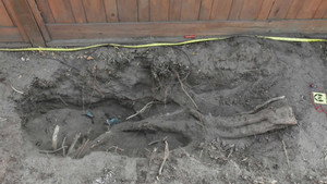 Buried In The Backyard 1. évad Ep.6 6. epizód