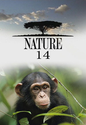 Nature 14. évad (1995-10-08) poszter