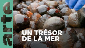 ARTE 360° Reportage 25. évad Ep.15 15. epizód