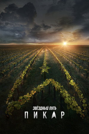Star Trek: Picard poszter