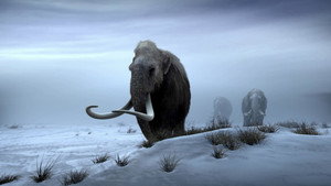 IMAX: Extreme Nature Collection 1. évad Ep.2 2. epizód
