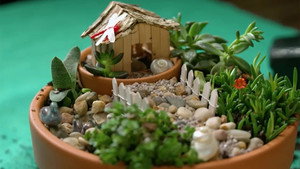 Gardening Australia 32. évad Ep.31 31. epizód