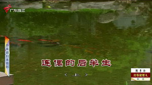 外来媳妇本地郎 12. évad Ep.4021 4021. epizód
