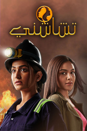 चाशनी poszter