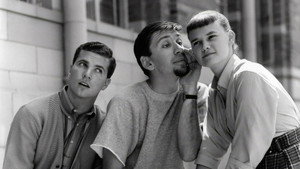 The Many Loves of Dobie Gillis kép