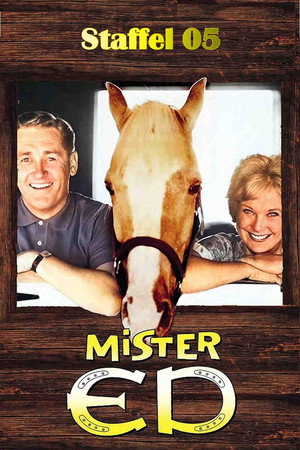 Mister Ed poszter