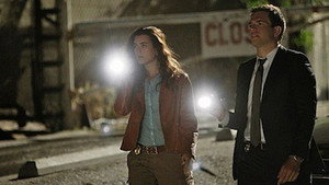 NCIS: Tengerészeti helyszínelők 7. évad Ep.22 Határeset