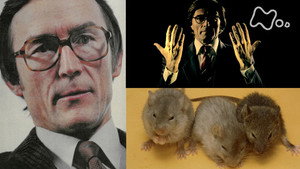 フランケンシュタインの誘惑 科学史 闇の事件簿 2. évad Ep.20 20. epizód
