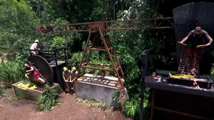 I'm a Celebrity...Get Me Out of Here! 19. évad Ep.20 20. epizód