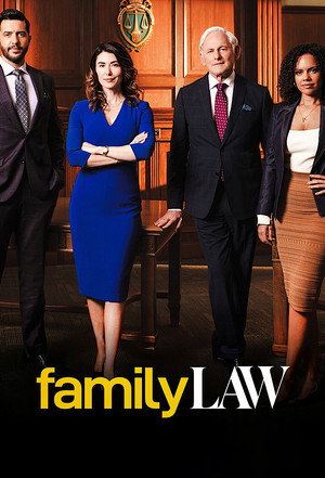 Family Law poszter