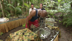 I'm a Celebrity...Get Me Out of Here! 2. évad Ep.7 7. epizód