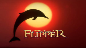 Flipper kép