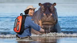 Andy's Wild Adventures kép